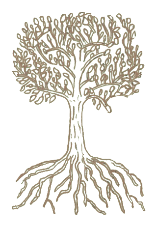 The Reflect tree